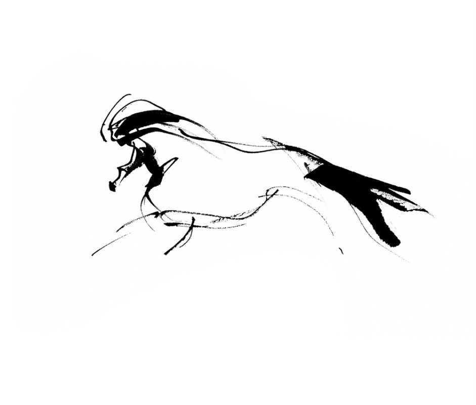 illustration marie laure manceaux cheval 12.jpg - Marie-Laure MANCEAUX | Virginie